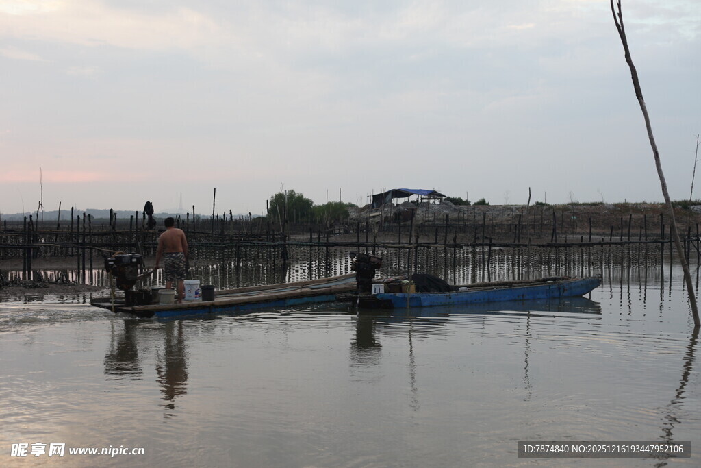 夕阳下的水乡渔船景象