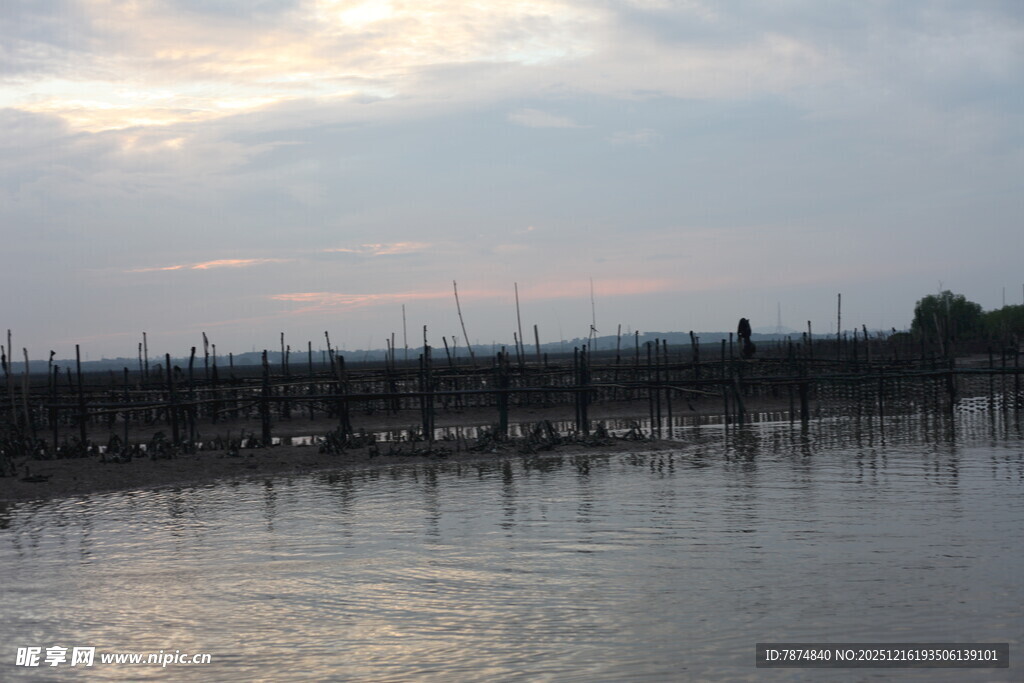 黄昏下的水上木桩景观