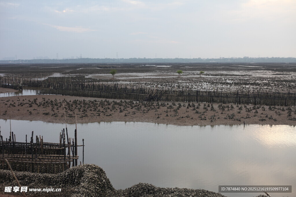 宁静湖畔的开阔景致