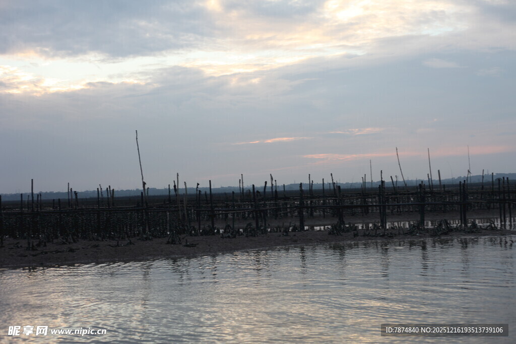 海上暮色中的林立木桩