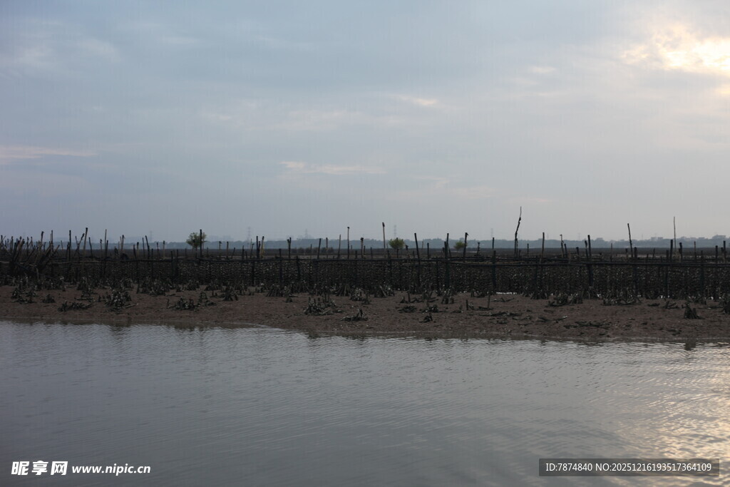 黄昏下的水边景致