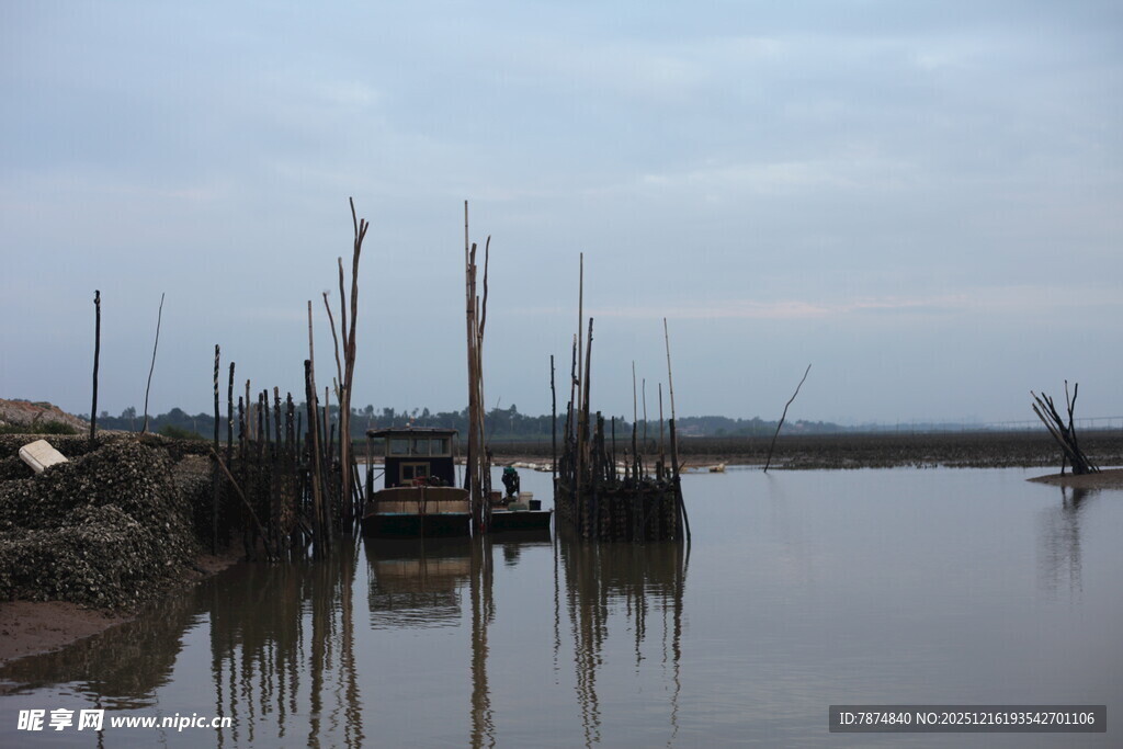水乡河岸船只静谧景象