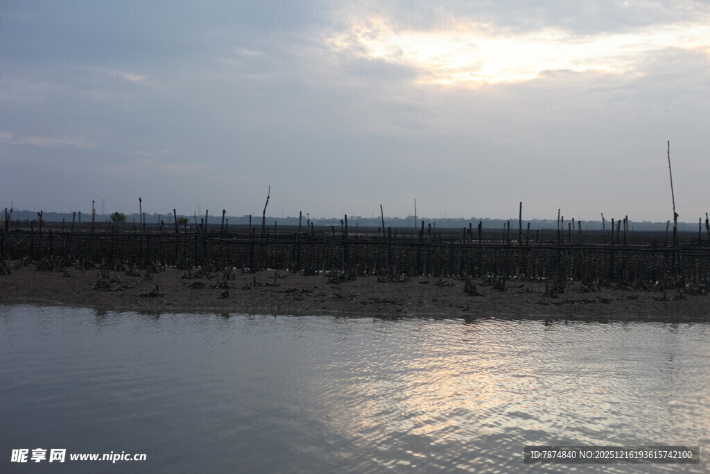 夕阳下的宁静水域景观