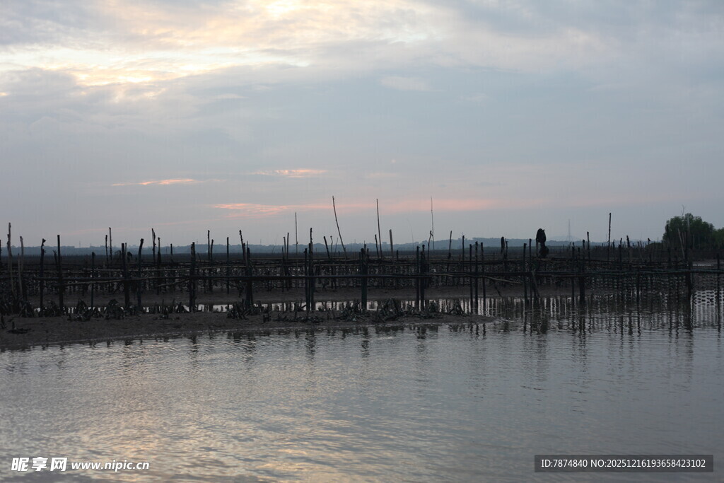 黄昏下的水上木桩景观
