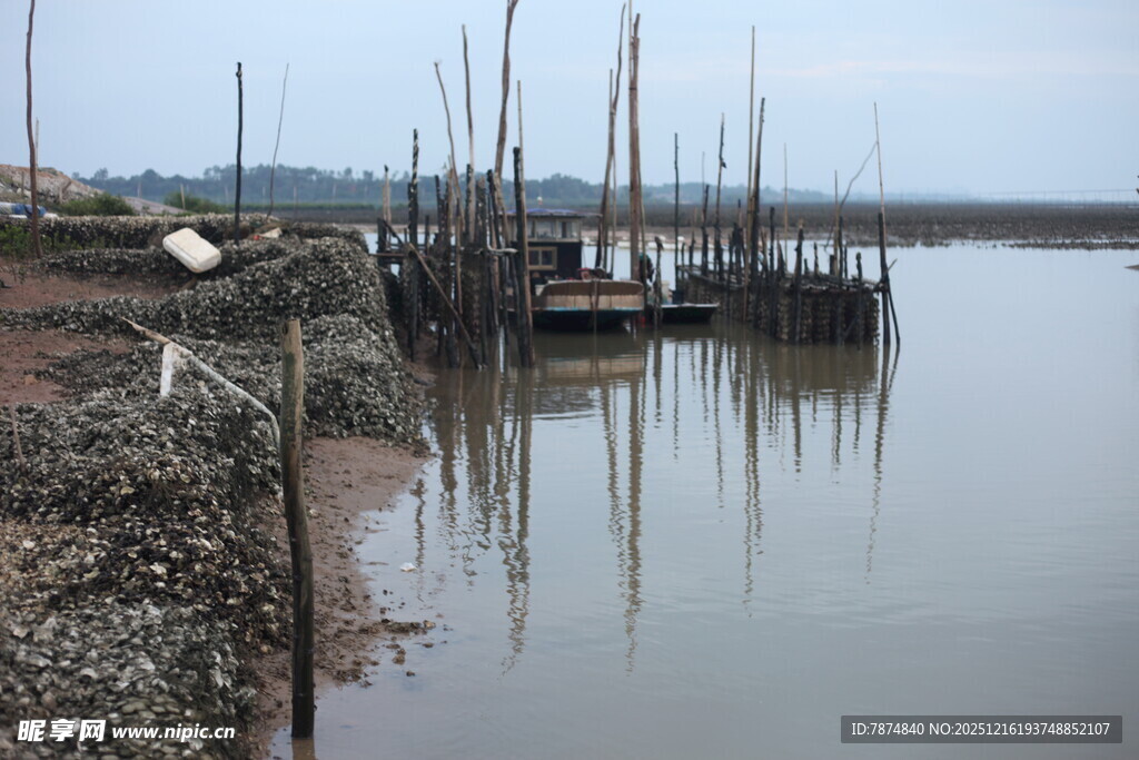 宁静港湾中的停泊船只
