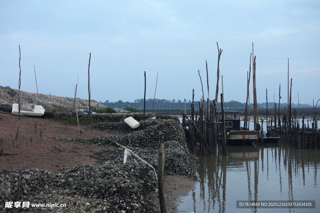 宁静港湾中的停泊船只