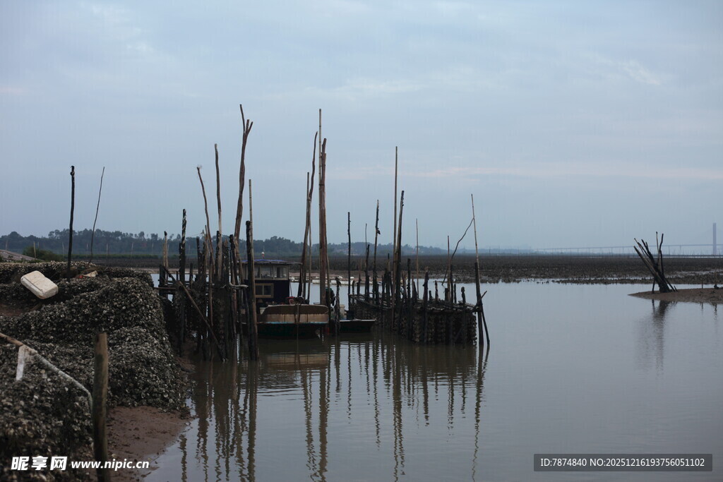 河岸林立木桩的静谧景象