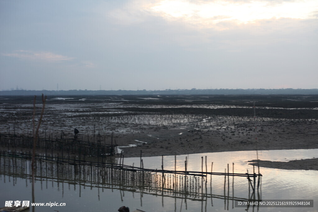 夕阳下的水域养殖场景