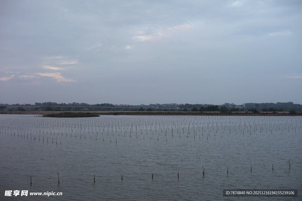 宁静湖面的清晨景致