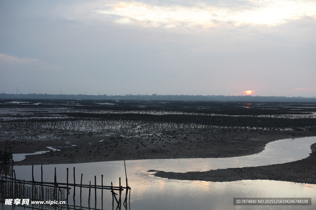 黄昏下的湿地景观