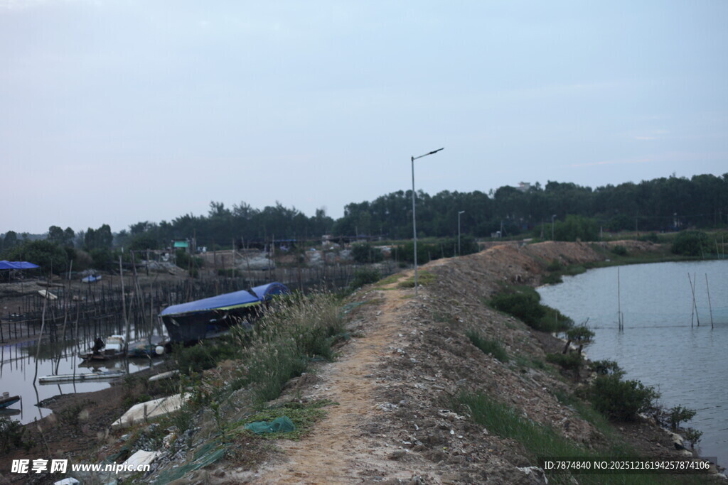 乡村水边土路及周边景象