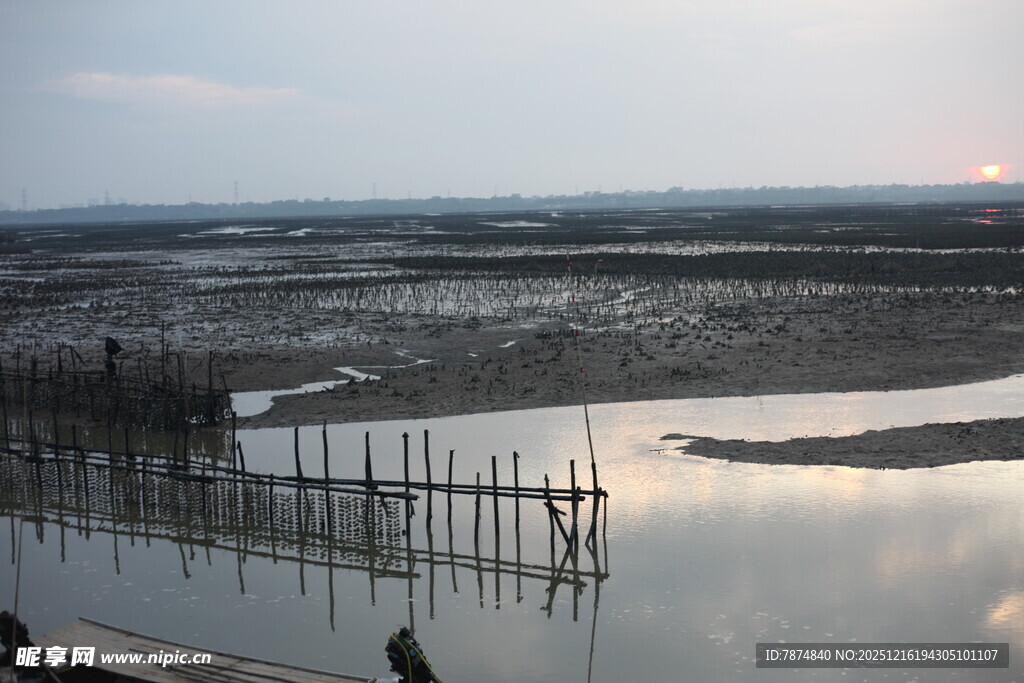 夕阳下的湿地水域景观