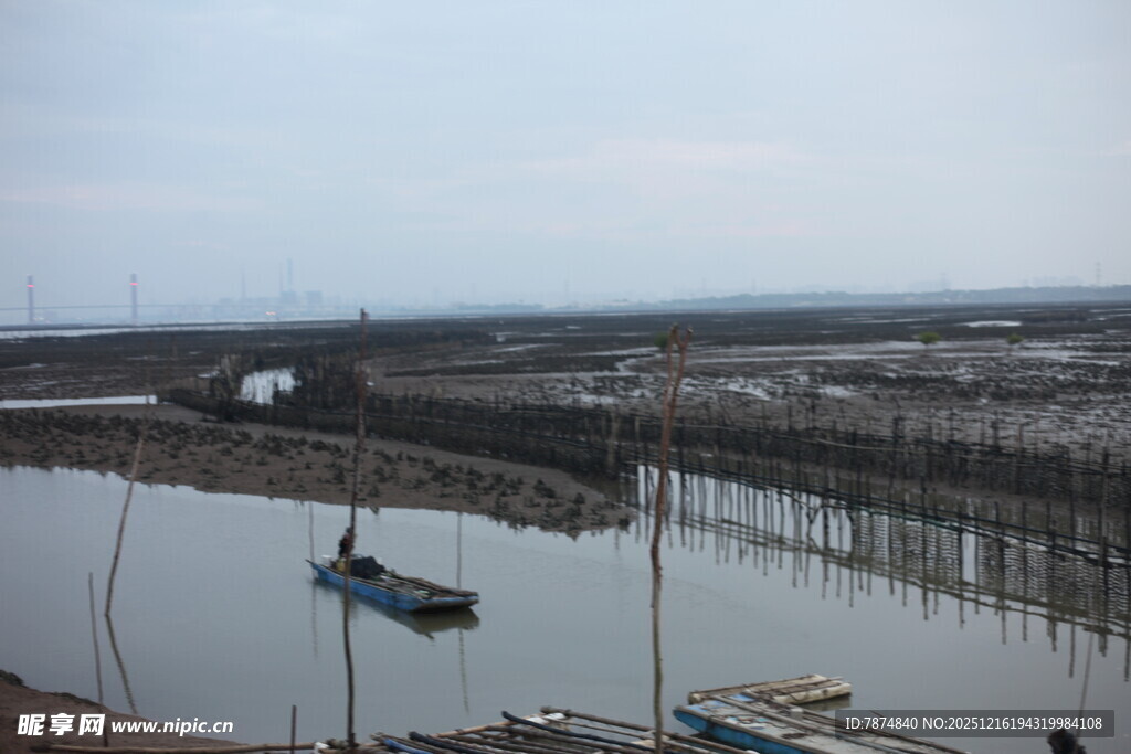 河畔船只与稀疏树木景观