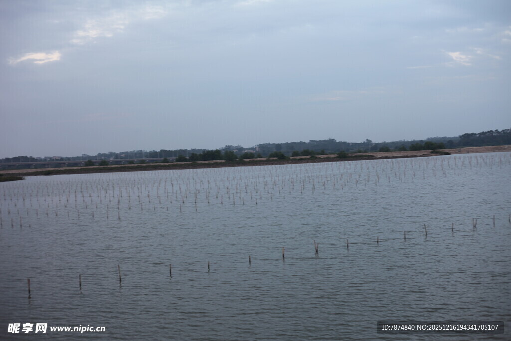 宁静宽阔的水域景观