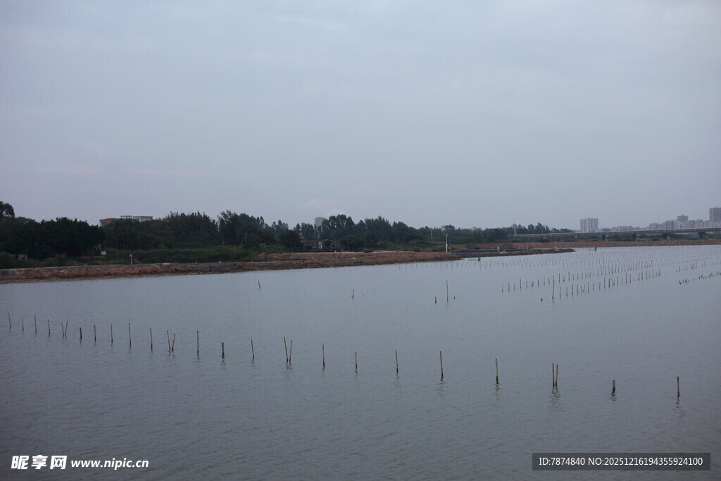 宁静水域与岸边景致