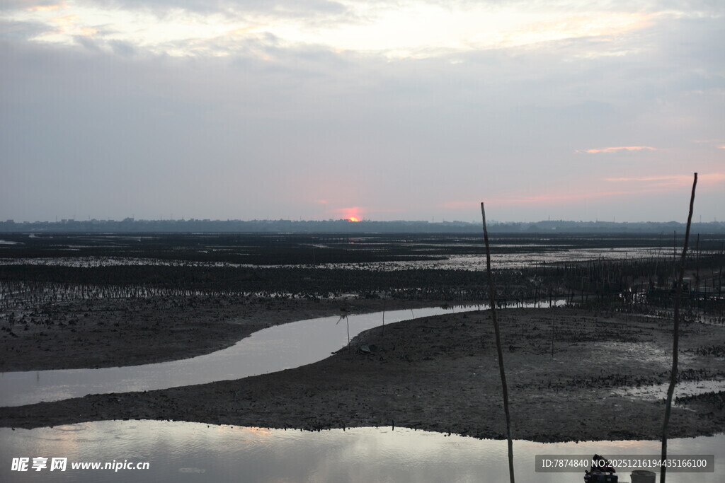 黄昏时分的河畔湿地风光