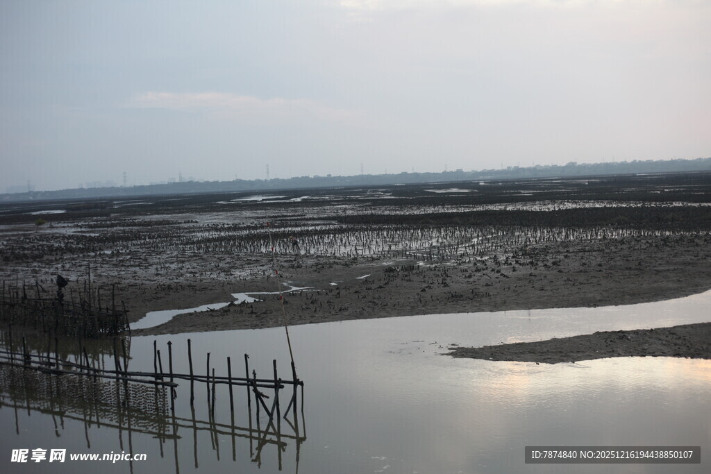 海边滩涂景象
