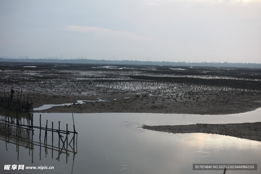 湿地浅滩景象