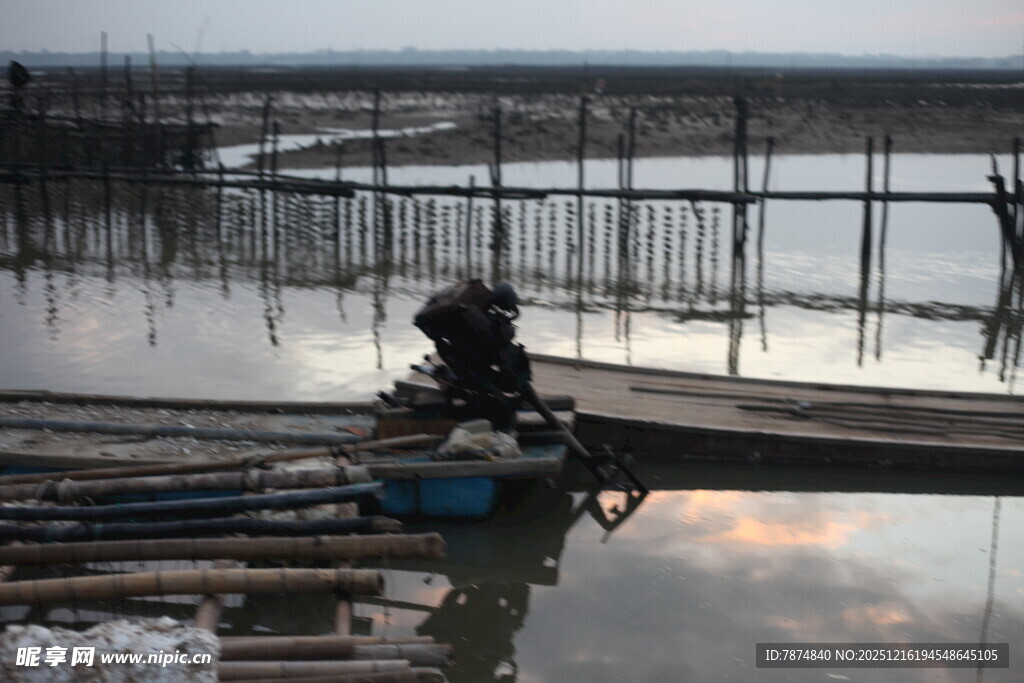 湛江生蚝养殖