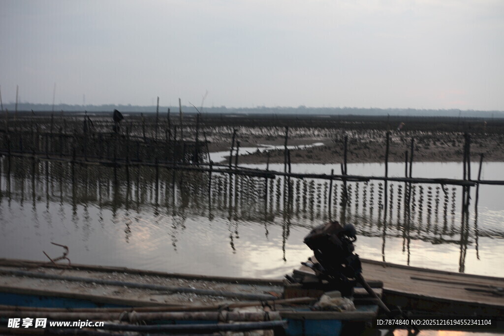 湛江生蚝养殖场