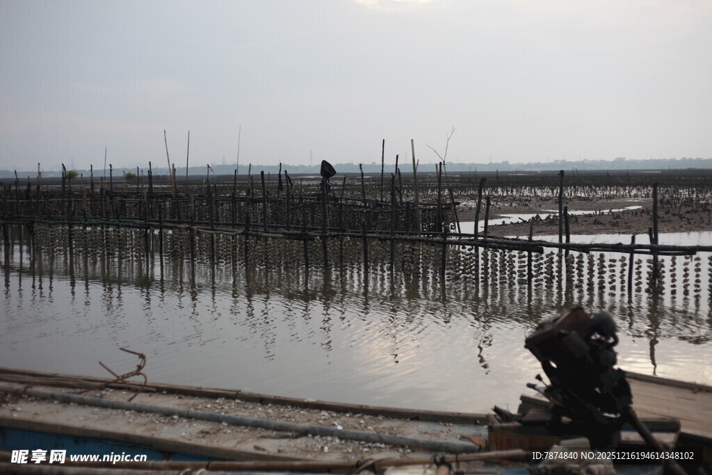 水上养殖场景