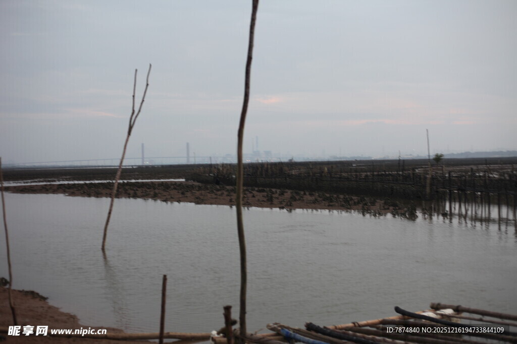 宁静水边停泊的几叶扁舟