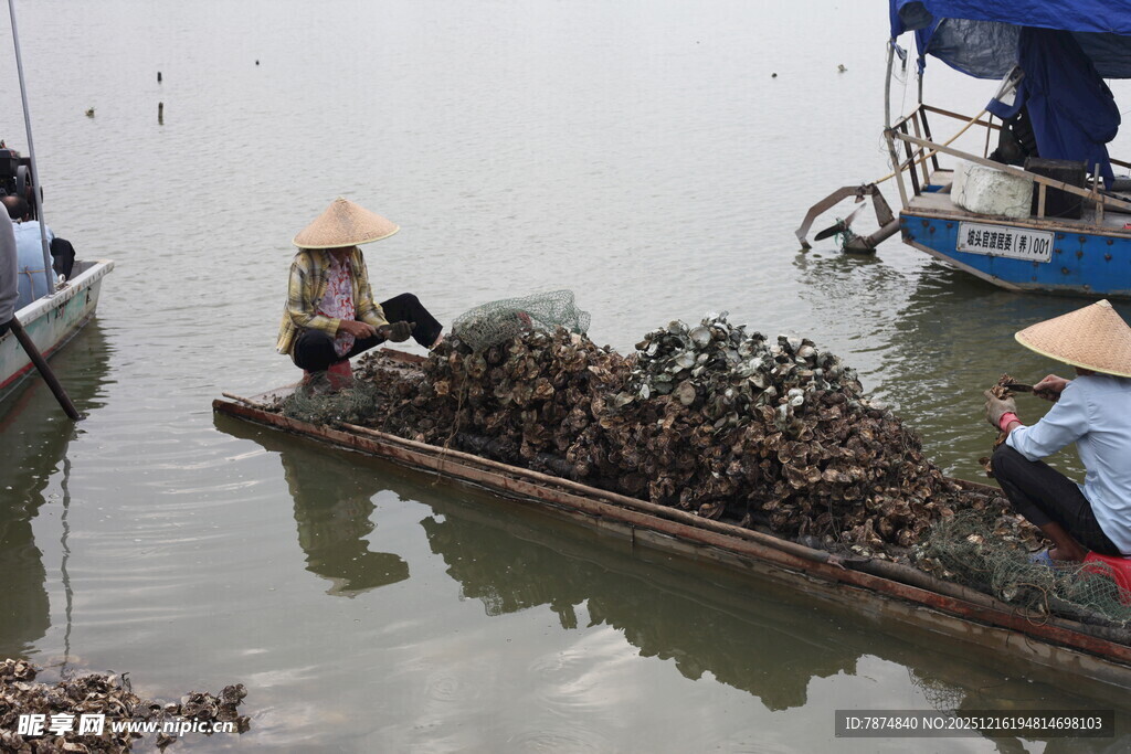 渔民水上搬运海产