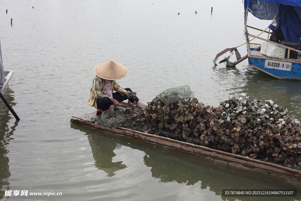 水上劳作的蛎农