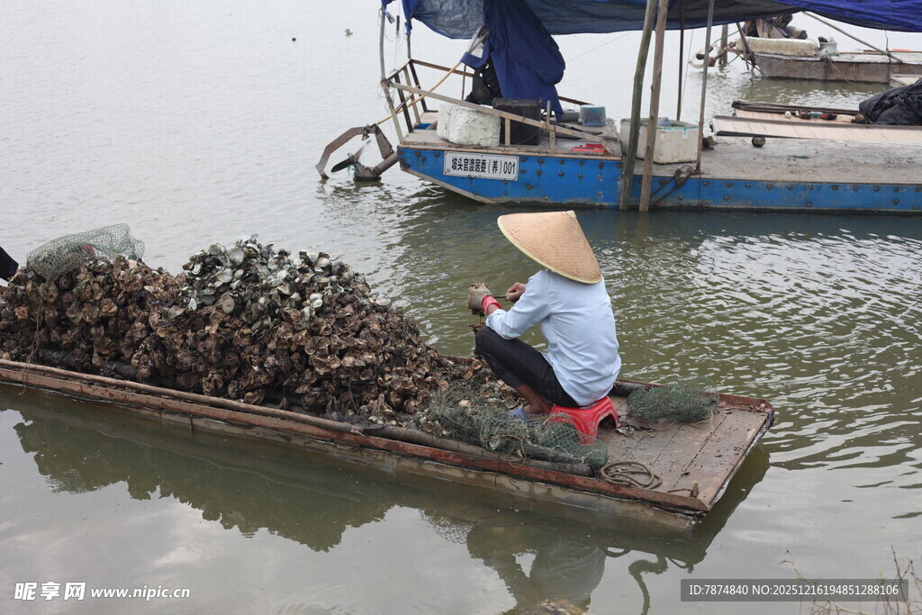 水上劳作的戴斗笠渔民