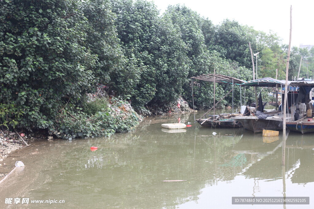 河边停泊处的自然景致