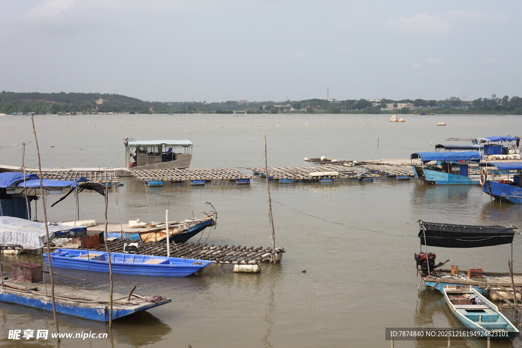 水上停泊的多彩船只
