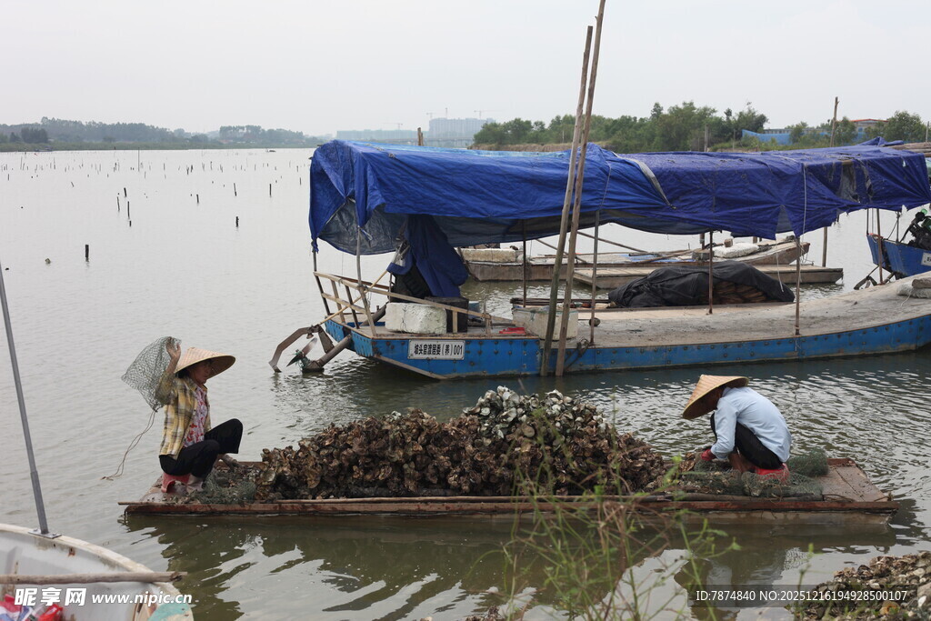 水乡渔民劳作场景