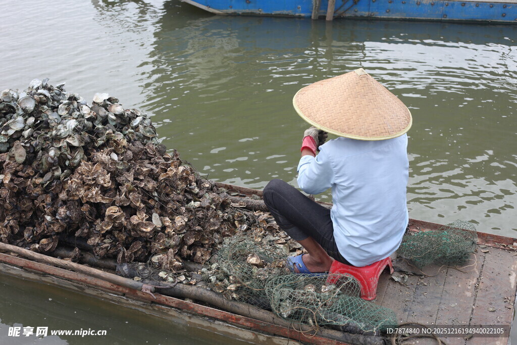 船上采牡蛎的戴斗笠渔民