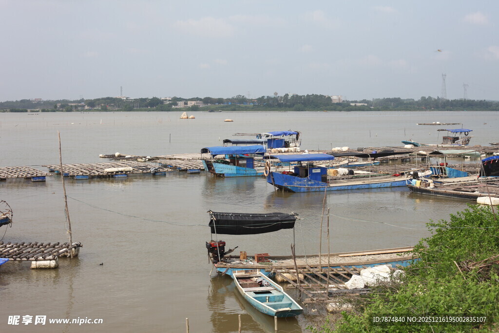 江边停泊的众多船只
