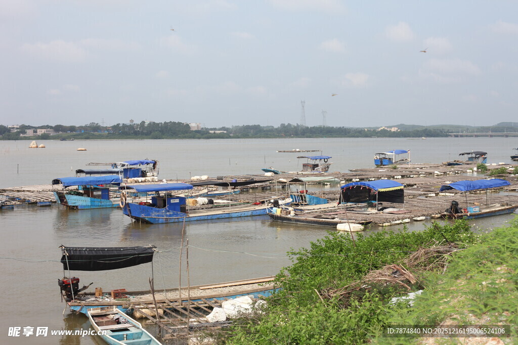 江边停泊的多彩船只