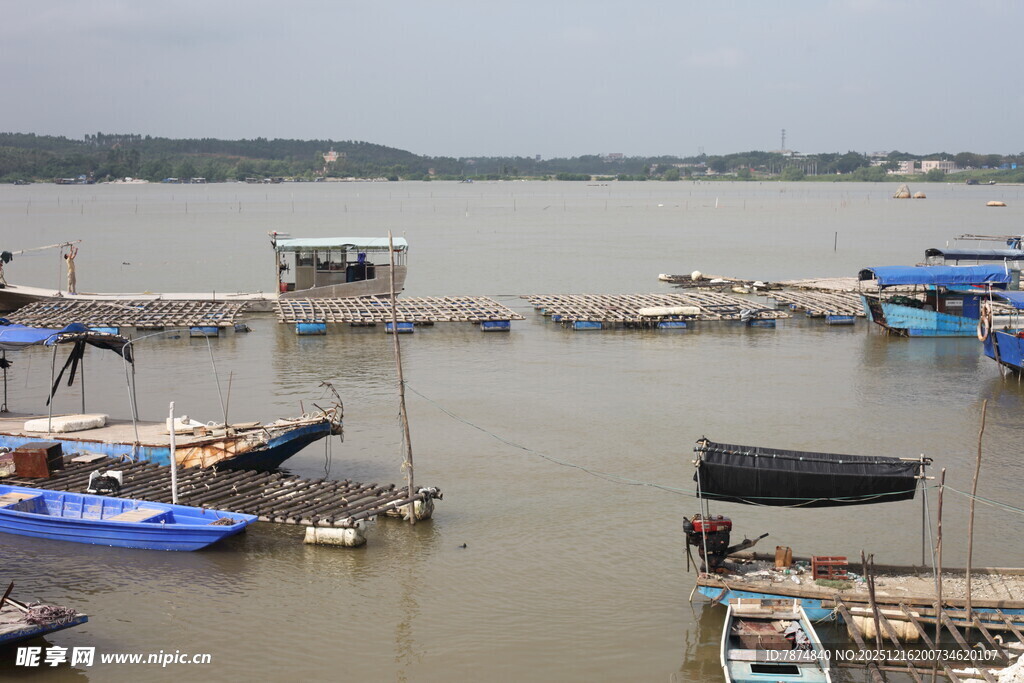 水上停泊的多艘船只