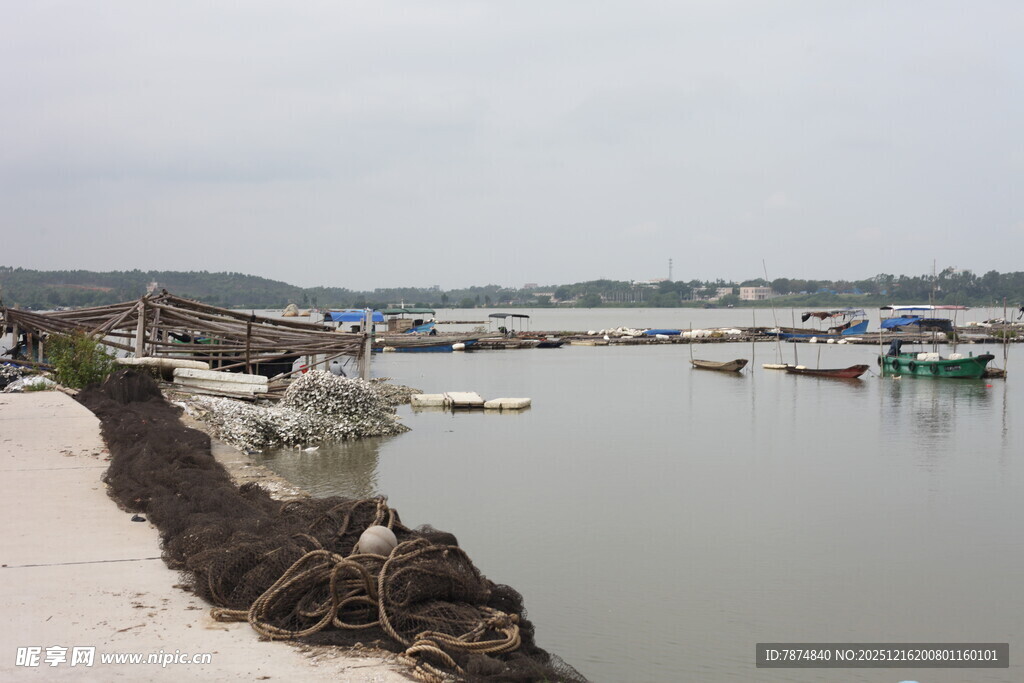 海边停泊的多彩船只