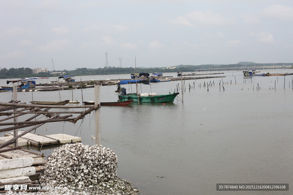 宁静水边停泊的船只景象