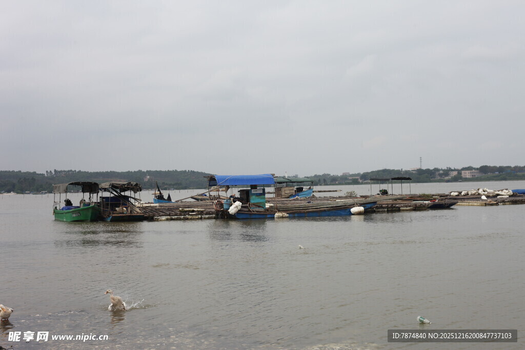 宁静水边停泊的多彩船只