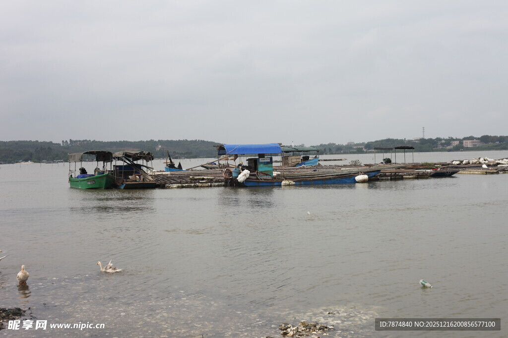 江边停泊的多彩船只