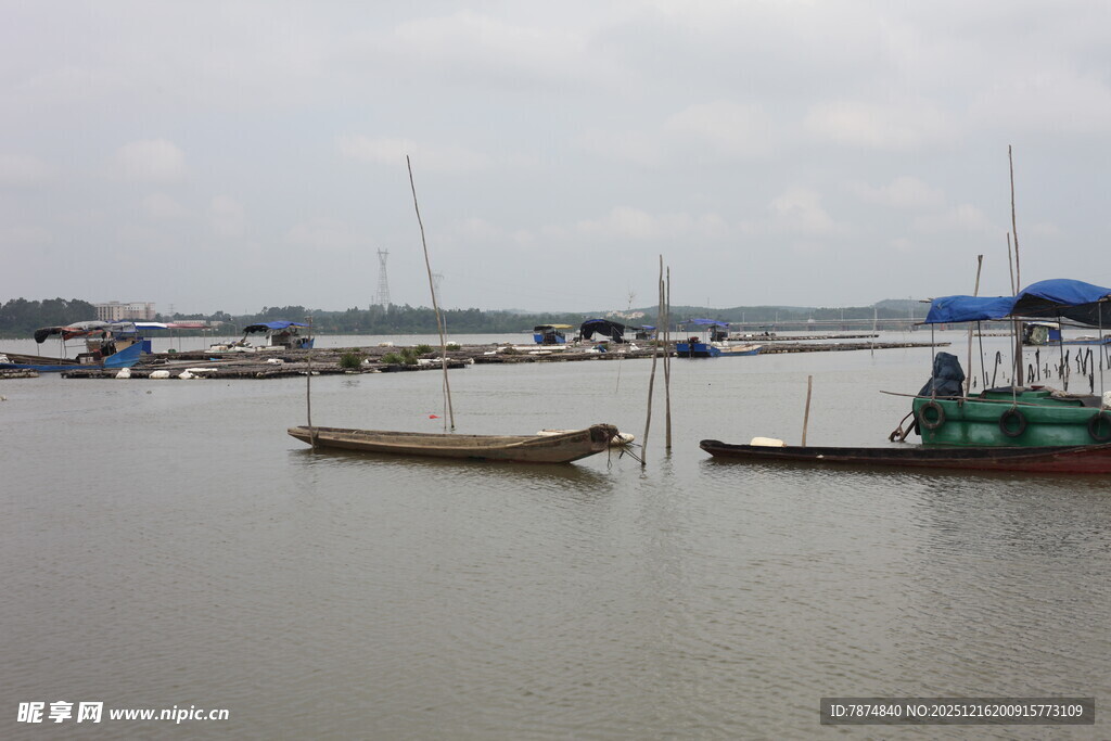 宁静港湾中的停泊船只