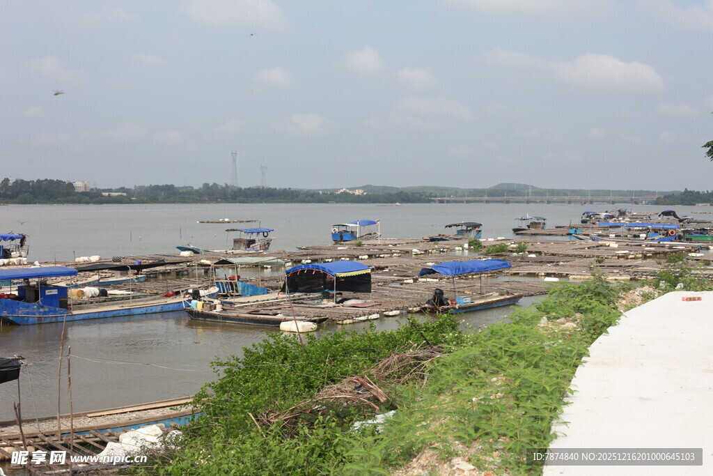 江边停泊的多彩船只