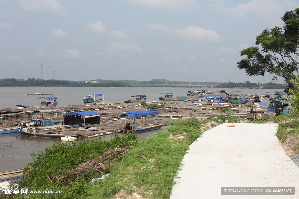 江边停泊的船只景观