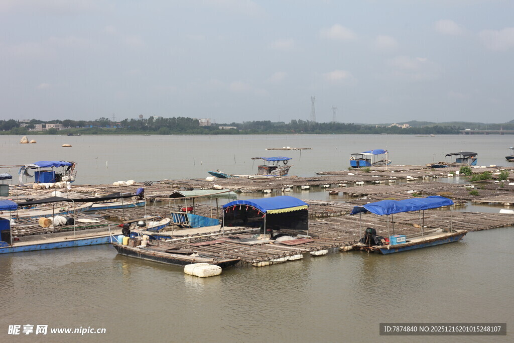 江边码头停泊众多船只