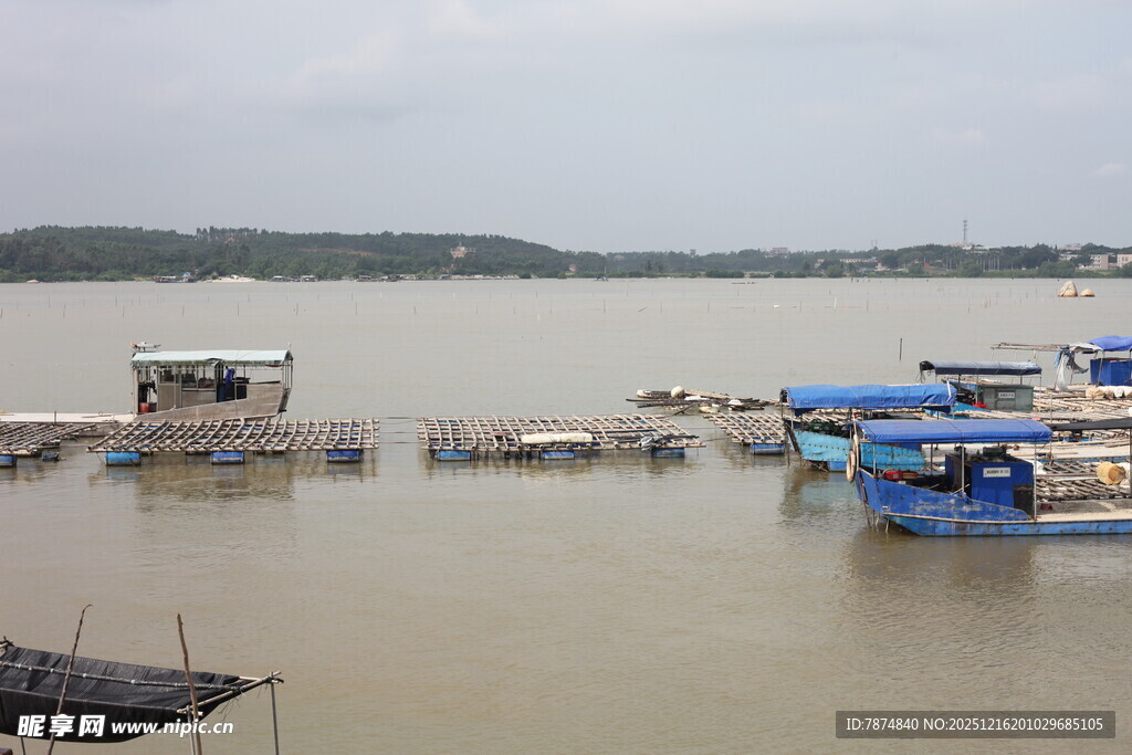 江边停泊的多彩船只