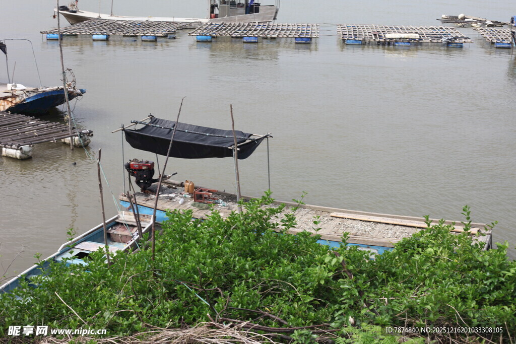 江边停泊的船只与绿植