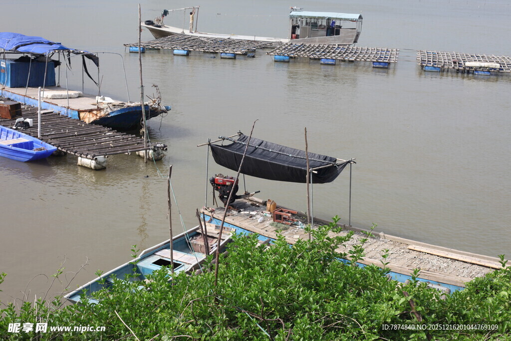 河畔停泊的各式船只