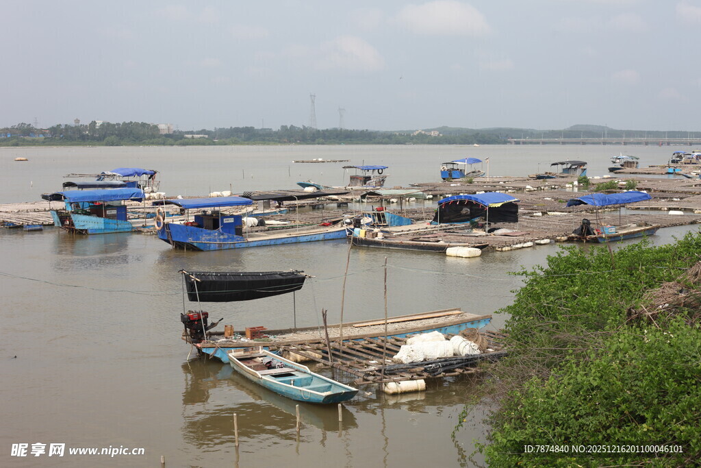 江边停泊的众多船只