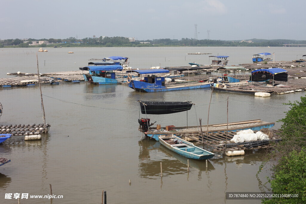 渔港停泊的众多船只