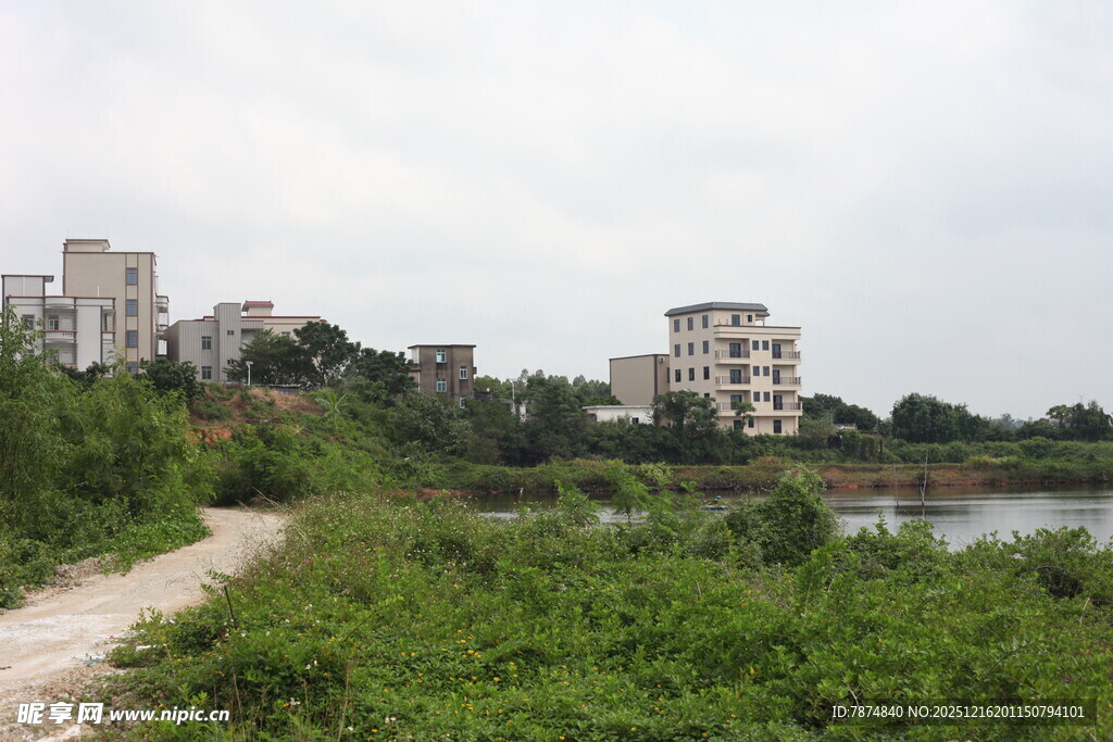 城郊小路旁的建筑与绿植